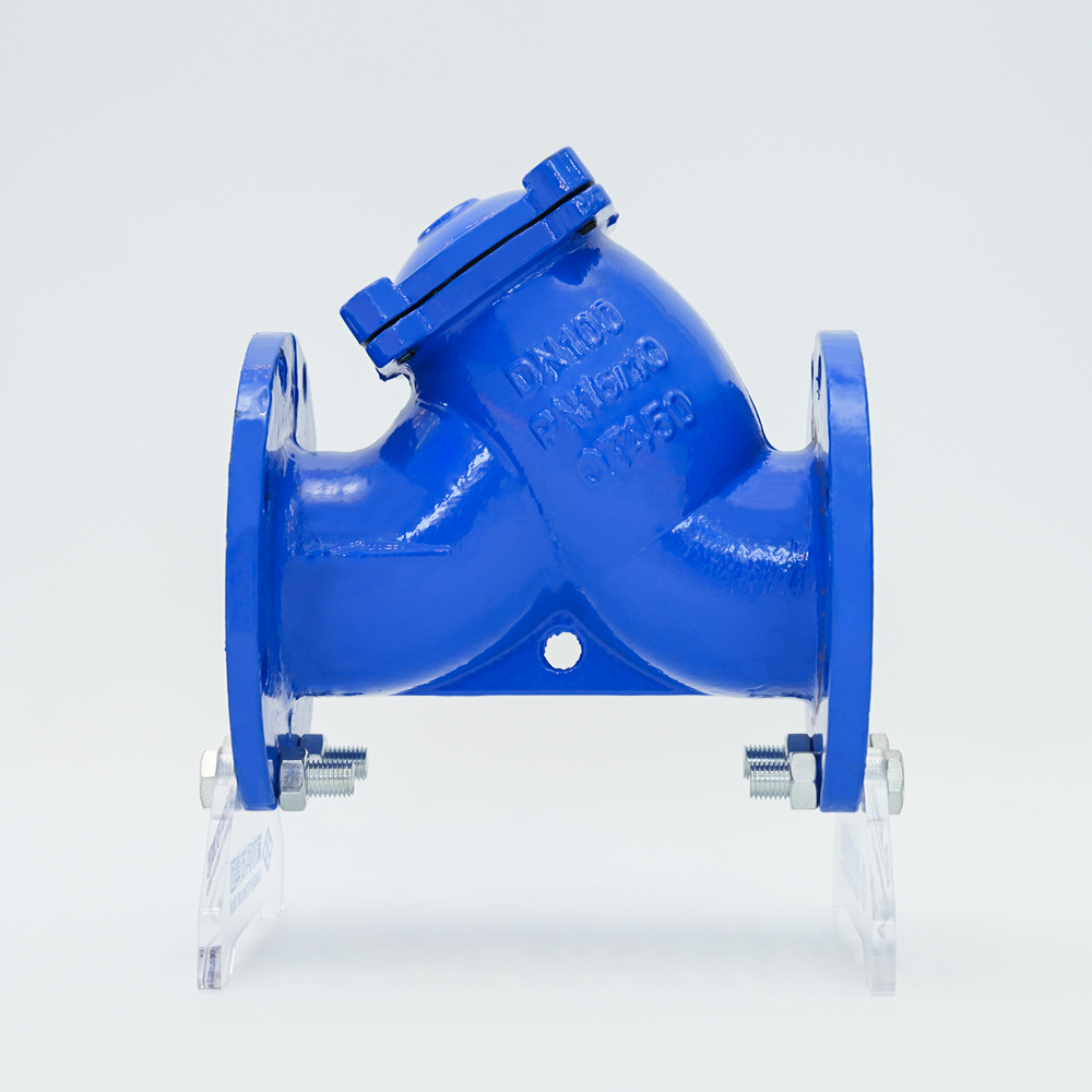 فلتر من الحديد الزهر من النوع Y GL41H-16Q