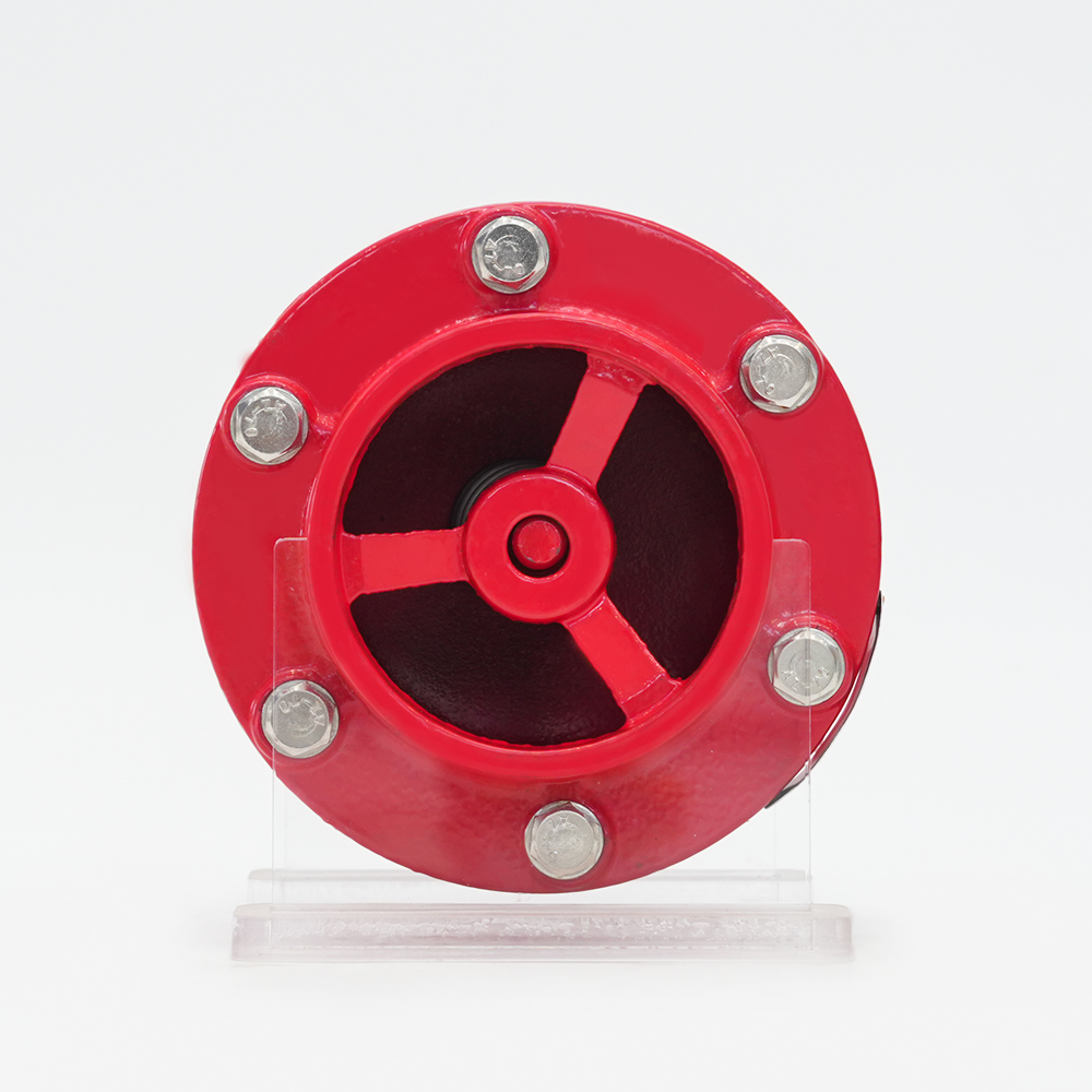 صمام فحص كاتم الصوت المخدد GHC41X-16Q