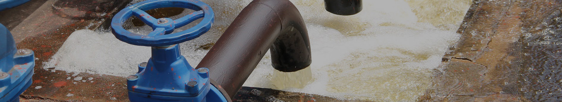 شركة تشانغشوي للتكنولوجيا المجموعة المحدودة